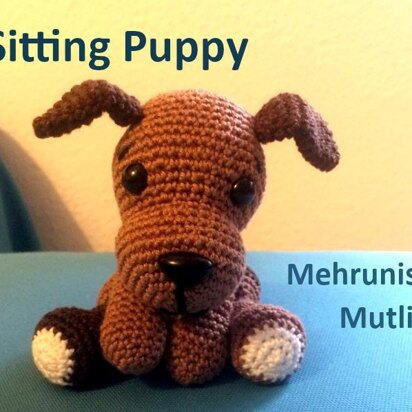 Sitting puppy