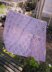 Daisy Shawl