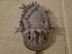 Horny Toad Coin Purse