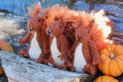 Red Squirrel Sisters