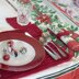 Place Mats Coaster Napkin Rings