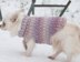 Criss cross dog sweater in 3 sizes