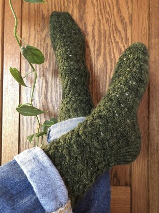 Philodendron Socks