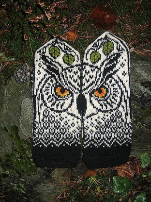 Forest Owl