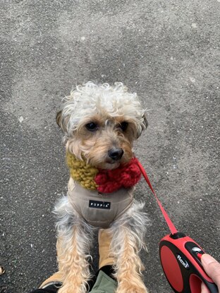 Raspberry stitch neck warmer