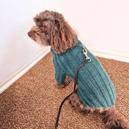 Cozy Canine Rib-Knit