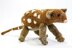 Australian Native Cat/ Quoll