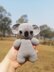 Kirra Koala