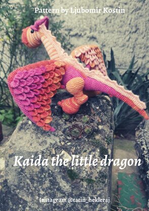 Kaida the little Dragon