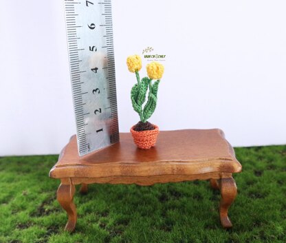 Miniature potted tulips