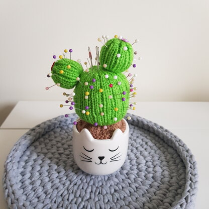 Cactus pin cushion