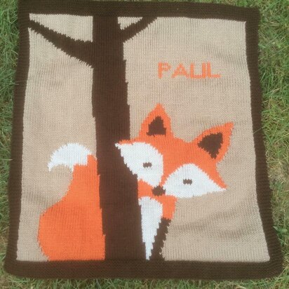 FOX blanket for baby