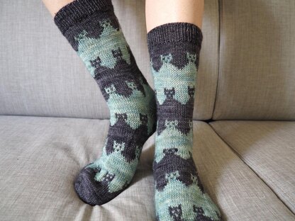 Prairie Cats Socks