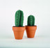 Crocheted Cactuses by Sarah Abbondio