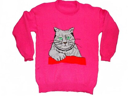 Grey Kitty Cat Jumper