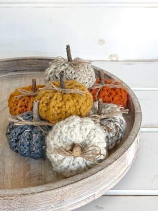 Mini Ribbed Pumpkins 086