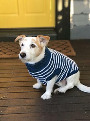 Dog Stripe Sweater