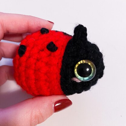 Baby Ladybug