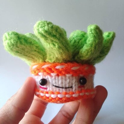 ECHEVERIA SUCCULENT knit