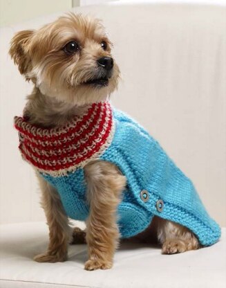 Holiday Dog Sweater in Red Heart Soft Solids - LW3697