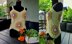 Crochet Top with hexagons
