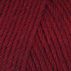 Raspberry (95131)