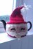 Gnome / Santa Tea Cozy