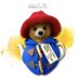 Paddington Bear Tea Cosy
