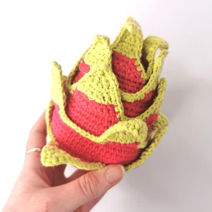Delicious Dragon Fruit