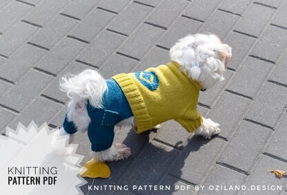 Minion jumpsuit for dog
