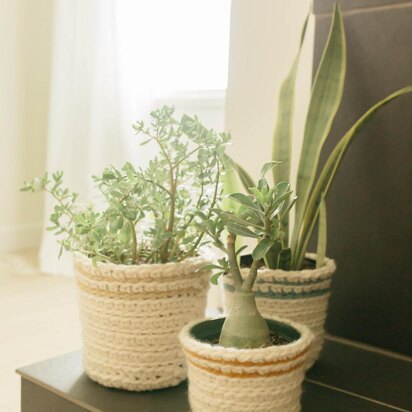 The Sunny Day Planter Baskets