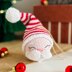 Santa and Rudolf Ornaments