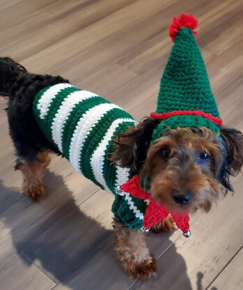 Elf Dog Sweater