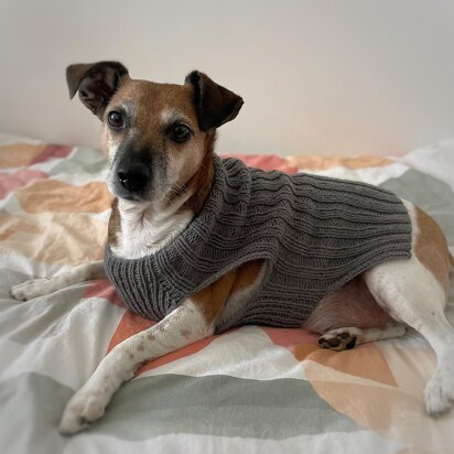 Red's simple stretchy dog jumper