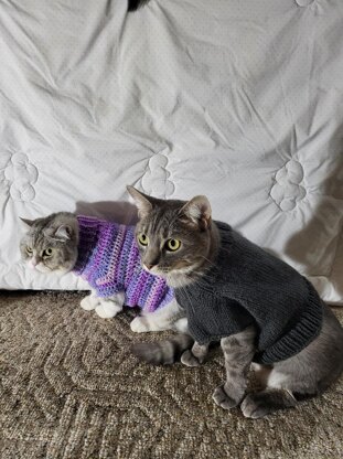 Basic pet sweater shirt