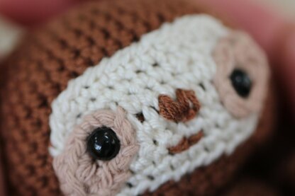 Speedy the Sloth