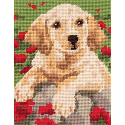 Anchor Labrador Puppy Needlepoint Starters Kit