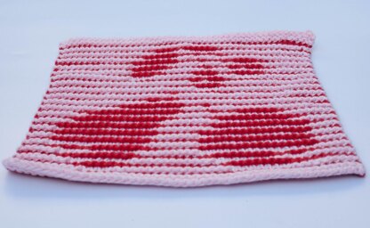 Fruit Dishcloth