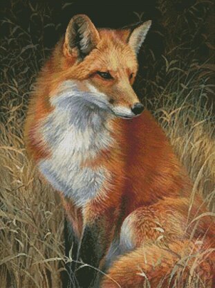 Red Fox Painting - #10651-CYP