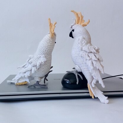 Cockatoo Parrot