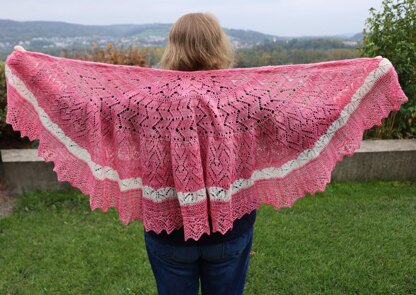 What the Heart wants Shawl