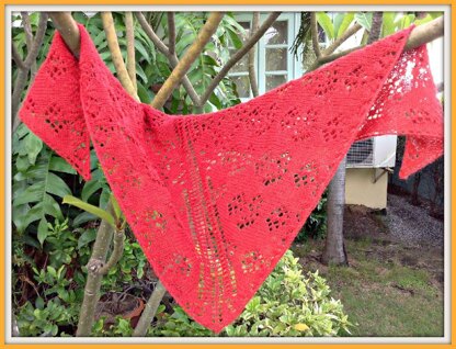 Not-Your-Garden-Variety Shawlette with Variation