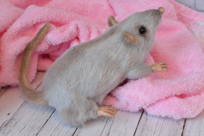 206 Cute Little Rat
