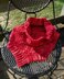 The Erythrocyte Cowl