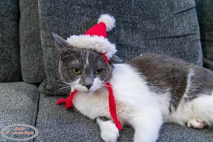 Cat Santa Hat