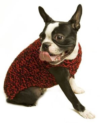 Lion brand clearance dog sweater pattern