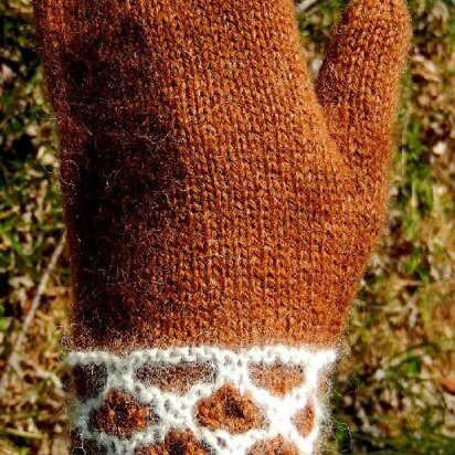 The Bees Knees Mittens