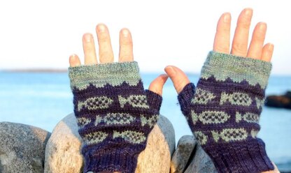 Fish Mitts