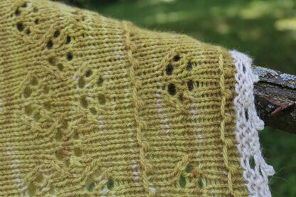 Harvest Moon Shawl