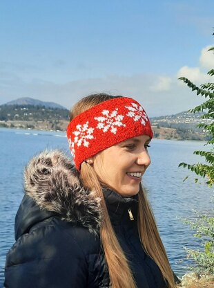 Snowflakes in December